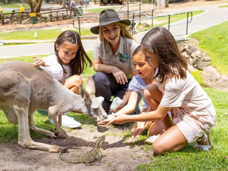 Three girls and a zoo keeper feeding a cangaroo and a lizard